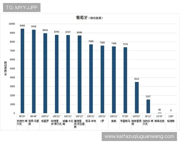 世界杯比利时伊朗比赛现场观赛攻略：最佳观赛地点与交通指南